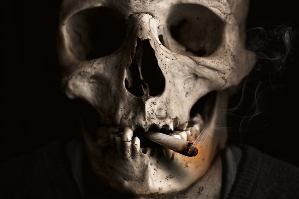 wiatowa Organizacja Zdrowia: co roku papierosy zabijaj osiem milionw ludzi  [fot. Jonny Lindner from Pixabay]