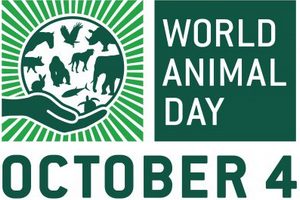 wiatowy Dzie Zwierzt 2017 [fot. World Animal Day]