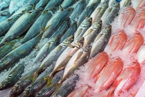 Sztuka wyboru ryb [Fot. elxeneize - Fotolia.com]