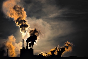 WHO: smog powoduje raka [© Pink Badger - Fotolia.com]
