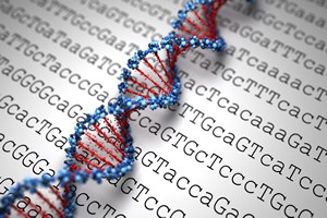 Wiek biologiczny jest w DNA, nie w metryce [© Leigh Prather - Fotolia.com]