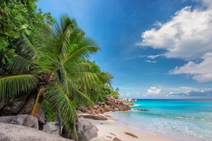 Wybierasz si na tropikalny urlop? Pamitaj o szczepieniu [Fot. lucky-photo - Fotolia.com]