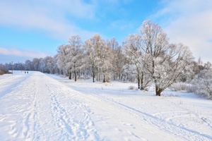 Zima 2014 / 2015. Jakiej pogody oczekuj Polacy? [© boguslaw - Fotolia.com]
